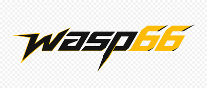 wasp66